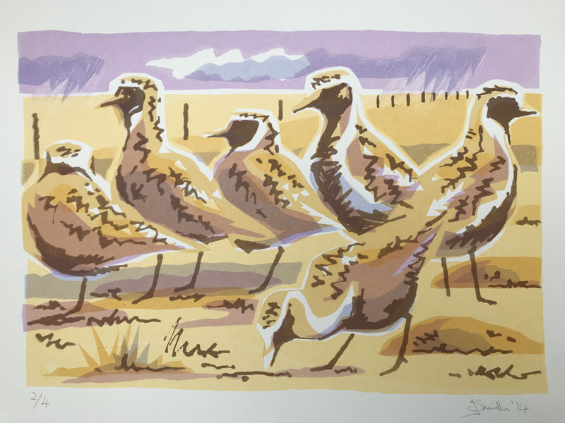 golden plover jane smith wildlife art