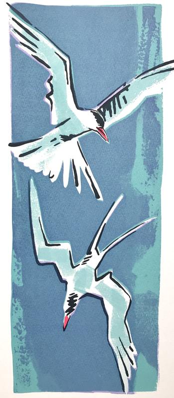 arctic terns jane smith wildlife art